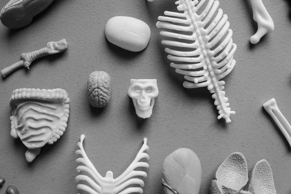 Rhodiola : un trésor pour votre équilibre émotionnel